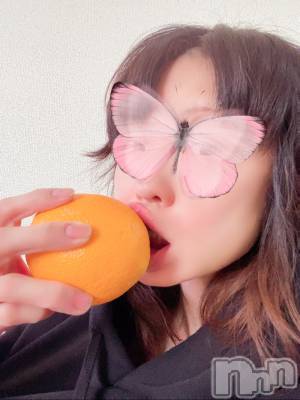 新潟風俗エステ SOARIS-ソアリス-(ソアリス) たまき(35)の6月8日写メブログ「皆さま、お疲れ◯◯です」