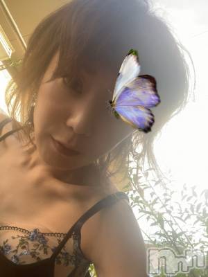 新潟風俗エステ SOARIS-ソアリス-(ソアリス) たまき(35)の7月20日写メブログ「まだまだ陽が高いねー！！」