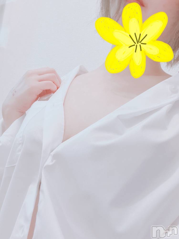 㡦ȯĥꥢ󥺥Ƥޤơ(ޥƥåȥ˥) 86ֿ̥֥ʥԥȡ