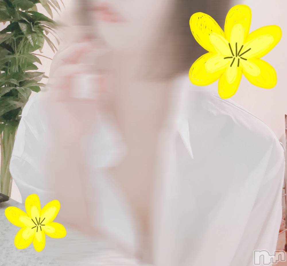 㡦ȯĥꥢ󥺥Ƥޤơ(ޥƥåȥ˥) 12̥֥ͽ