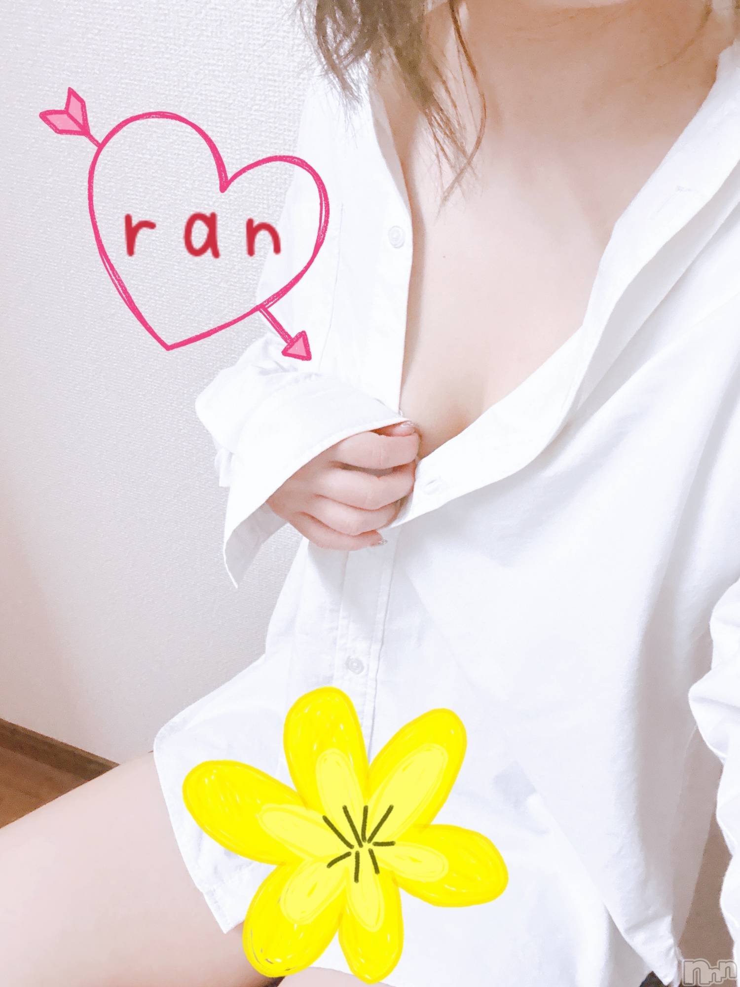 㡦ȯĥꥢ󥺥Ƥޤơ(ޥƥåȥ˥) 2025ǯ417̥֥ߤꤵ