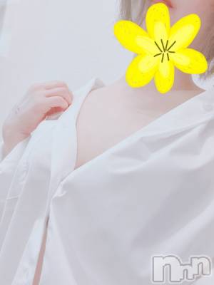 㡦ȯĥꥢ󥺥Ƥޤơ(ޥƥåȥ˥) (30)86ֿ̥֥ʥԥȡ