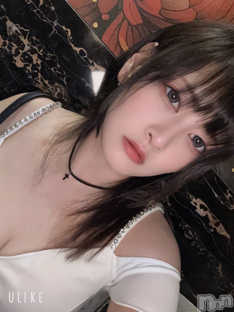 ���ܱ�������Х��顦�����CLUB FOUR LEAF(�ե����꡼��) �ޤ���12��17���̥�֥����֤���Ф�Ϥ���