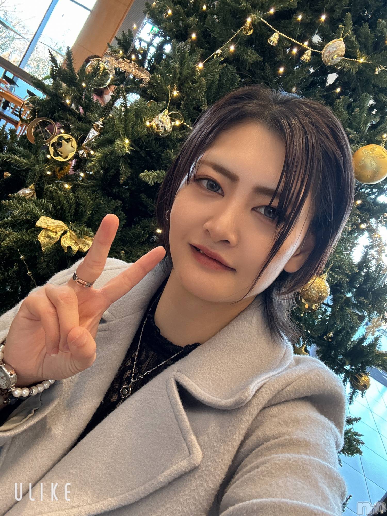 ܱХ顦CLUB FOUR LEAF(ե꡼) 2025ǯ1129̥֥ȱڤä