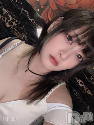 ܱХ顦CLUB FOUR LEAF(ե꡼) ޤ(29)1217̥֥֤ФϤ