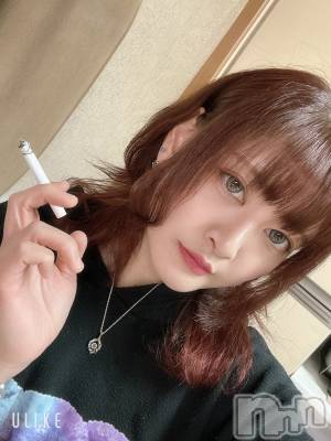 ܱХ顦CLUB FOUR LEAF(ե꡼) ޤ(29)219̥֥֤ФϤ