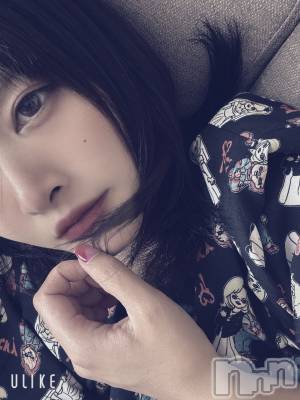 ܱХ顦CLUB FOUR LEAF(ե꡼) ޤ(29)922̥֥֤Ф🫶