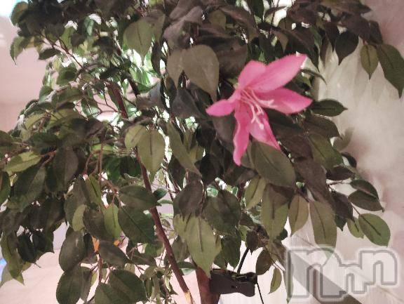 佐久発デリヘル佐久上田人妻隊(サクウエダヒトヅマタイ) ななえ(45)の9月27日写メブログ「💝次回、10/6（月)出勤を考えております💝」