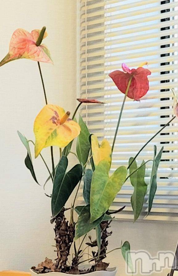 佐久発デリヘル佐久上田人妻隊(サクウエダヒトヅマタイ) ななえ(45)の2月18日写メブログ「💝ご心配ありがとうございます💝」