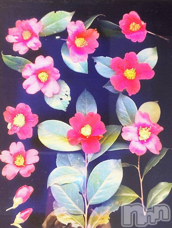 佐久発デリヘル佐久上田人妻隊(サクウエダヒトヅマタイ)ななえ(45)の2026年2月23日写メブログ「💝楽しかった💝」