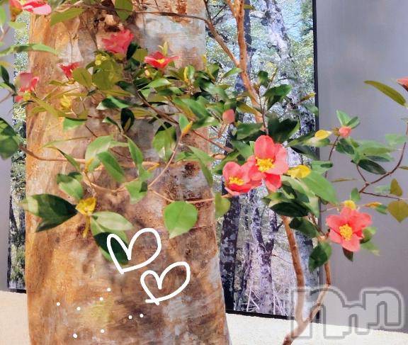 佐久発デリヘル佐久上田人妻隊(サクウエダヒトヅマタイ)ななえ(45)の2026年2月24日写メブログ「♡もうすぐ....♡」