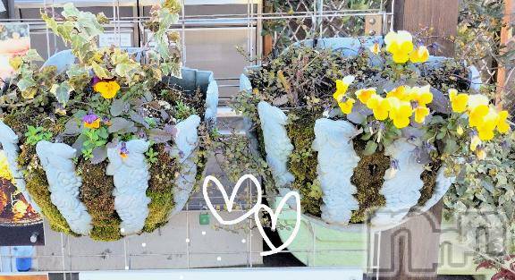 佐久発デリヘル佐久上田人妻隊(サクウエダヒトヅマタイ)ななえ(45)の2026年2月25日写メブログ「♡皆様の優しさに...😢♡」