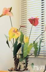 佐久発デリヘル佐久上田人妻隊(サクウエダヒトヅマタイ) ななえ(45)の2月18日写メブログ「💝ご心配ありがとうございます💝」