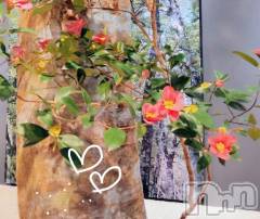 佐久発デリヘル佐久上田人妻隊(サクウエダヒトヅマタイ) ななえ(45)の2月24日写メブログ「♡もうすぐ....♡」