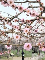 佐久発デリヘル佐久上田人妻隊(サクウエダヒトヅマタイ) ななえ(45)の3月25日写メブログ「💛大好きな..💛」