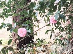 佐久発デリヘル佐久上田人妻隊(サクウエダヒトヅマタイ) ななえ(45)の3月26日写メブログ「[お題]from:スマホもってっちゃうさん」