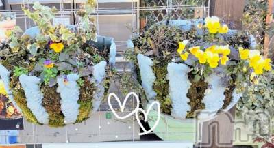 佐久発デリヘル 佐久上田人妻隊(サクウエダヒトヅマタイ) ななえ(45)の2月25日写メブログ「♡皆様の優しさに...😢♡」