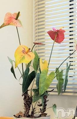 佐久発デリヘル 佐久上田人妻隊(サクウエダヒトヅマタイ) ななえ(45)の3月3日写メブログ「💝筋肉痛...💀💝」