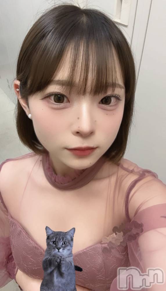 ��ˬ����Х��顦����֥���� �ץ���� ��ˬ(����� �ץ���� ����) ���� �Ҥʤ�5��8���̥�֥����֤���Ф��🐱��