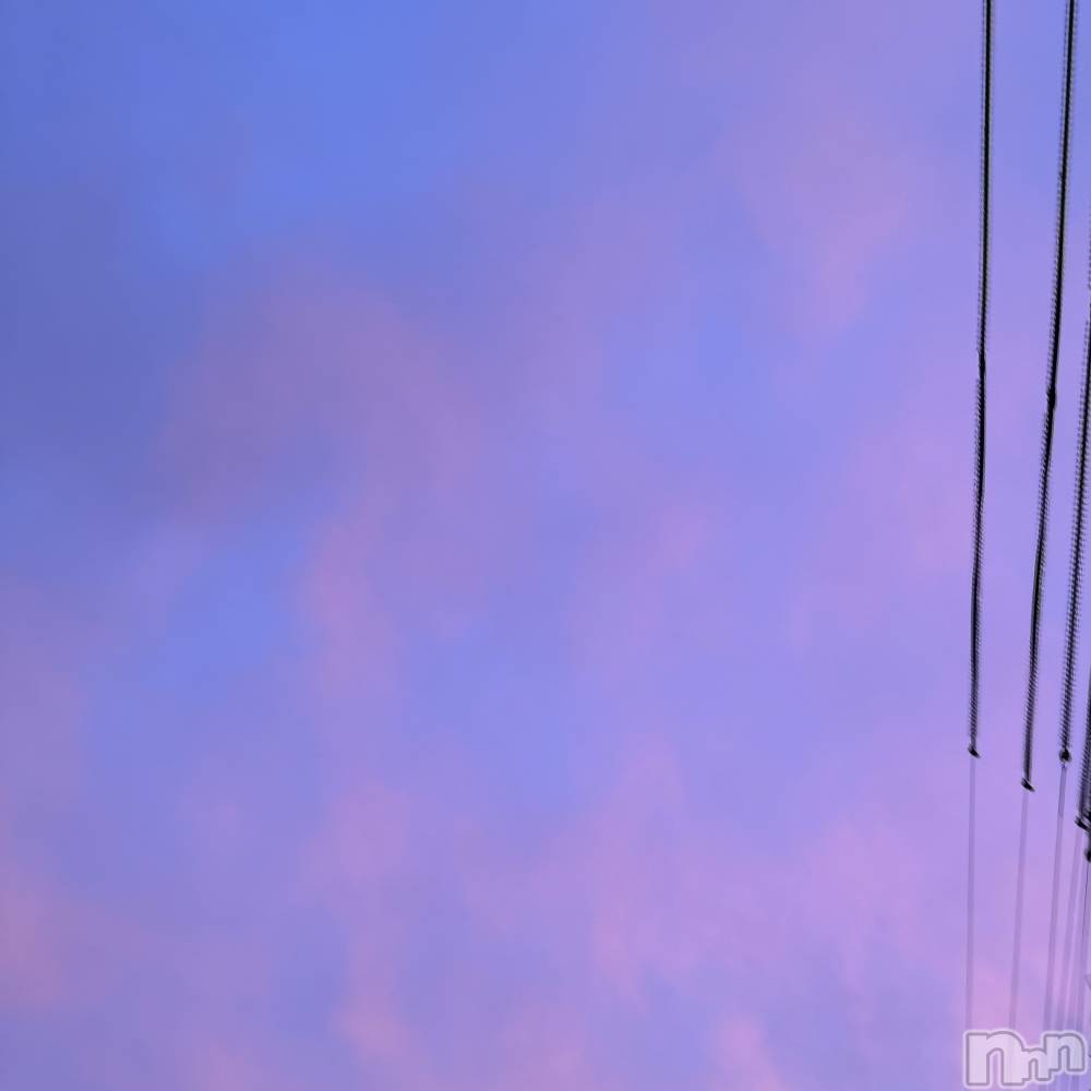 ��ˬ����Х��顦����֥���� �ץ���� ��ˬ(����� �ץ���� ����) ���� �Ҥʤ�5��15���̥�֥����ֶ�������