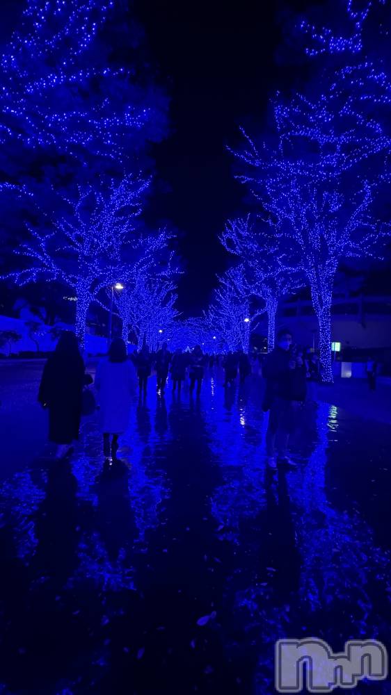 ��ˬ����Х��顦����֥���� �ץ���� ��ˬ(����� �ץ���� ����) ���� �Ҥʤ�12��2���̥�֥����֥����✨��