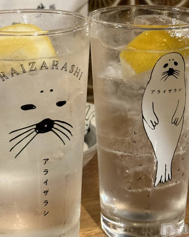 ��ˬ����Х��顦����֥���� �ץ���� ��ˬ(����� �ץ���� ����) ���� �Ҥʤ�11��4���̥�֥����֥��饤���饷🦭��