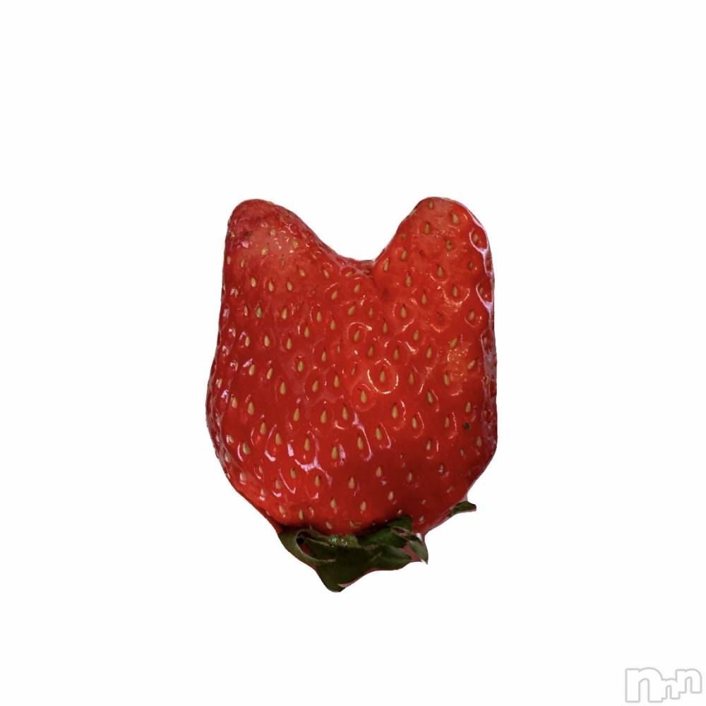 ��ˬ����Х��顦����֥���� �ץ���� ��ˬ(����� �ץ���� ����) ���� �Ҥʤ�3��6���̥�֥����֤ˤ���