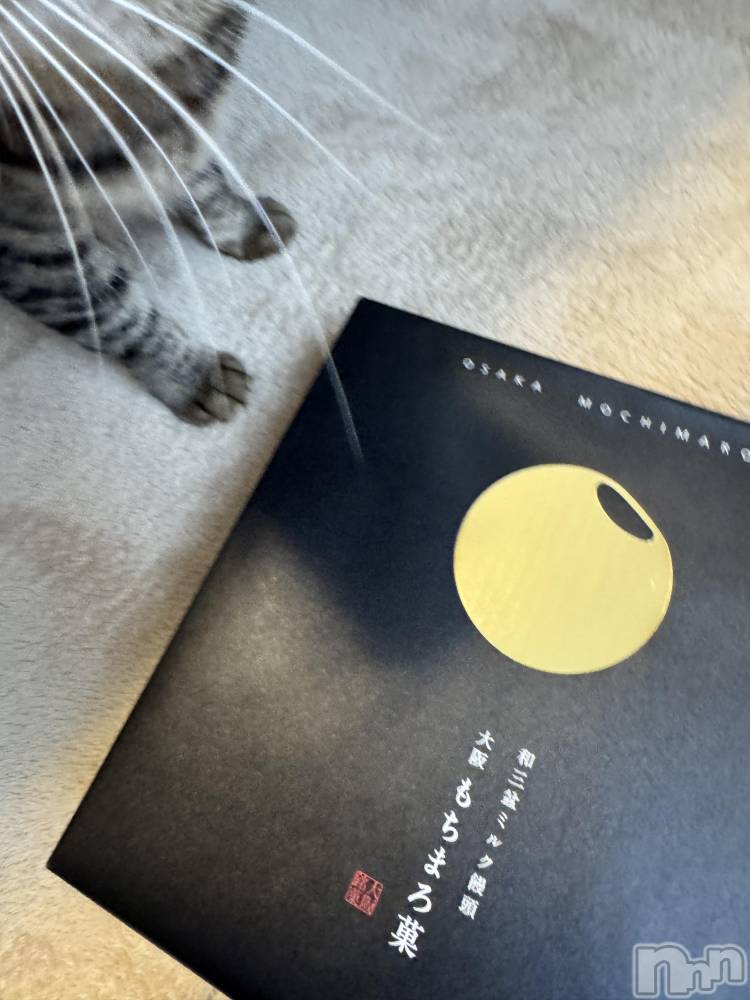 ��ˬ����Х��顦����֥���� �ץ���� ��ˬ(����� �ץ���� ����) ���� �Ҥʤ�4��9���̥�֥����֤���ޤ���