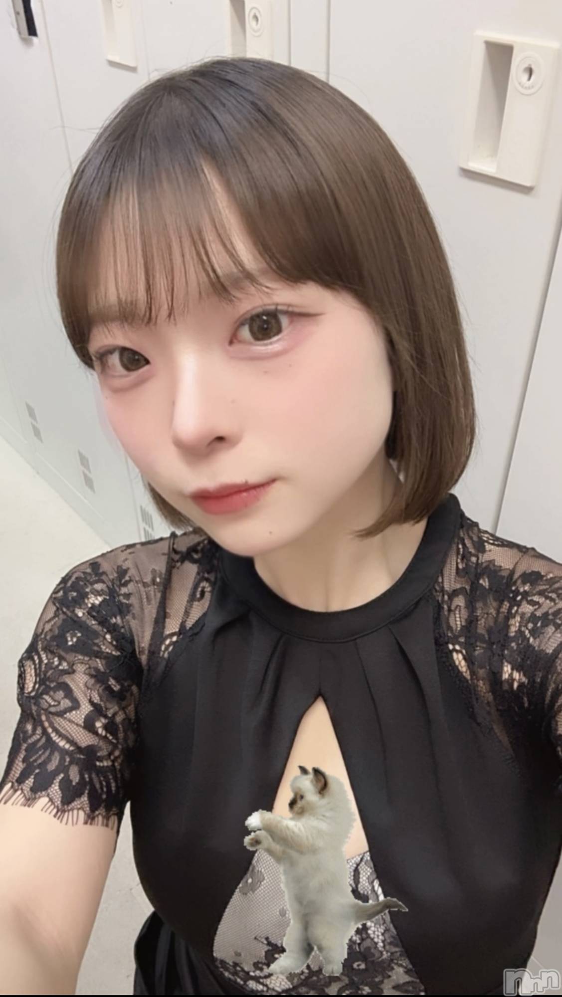 ��ˬ����Х��顦����֥���� �ץ���� ��ˬ(����� �ץ���� ����) ��2024ǯ5��13���̥�֥����ֱ��Ǥ��͡�><��