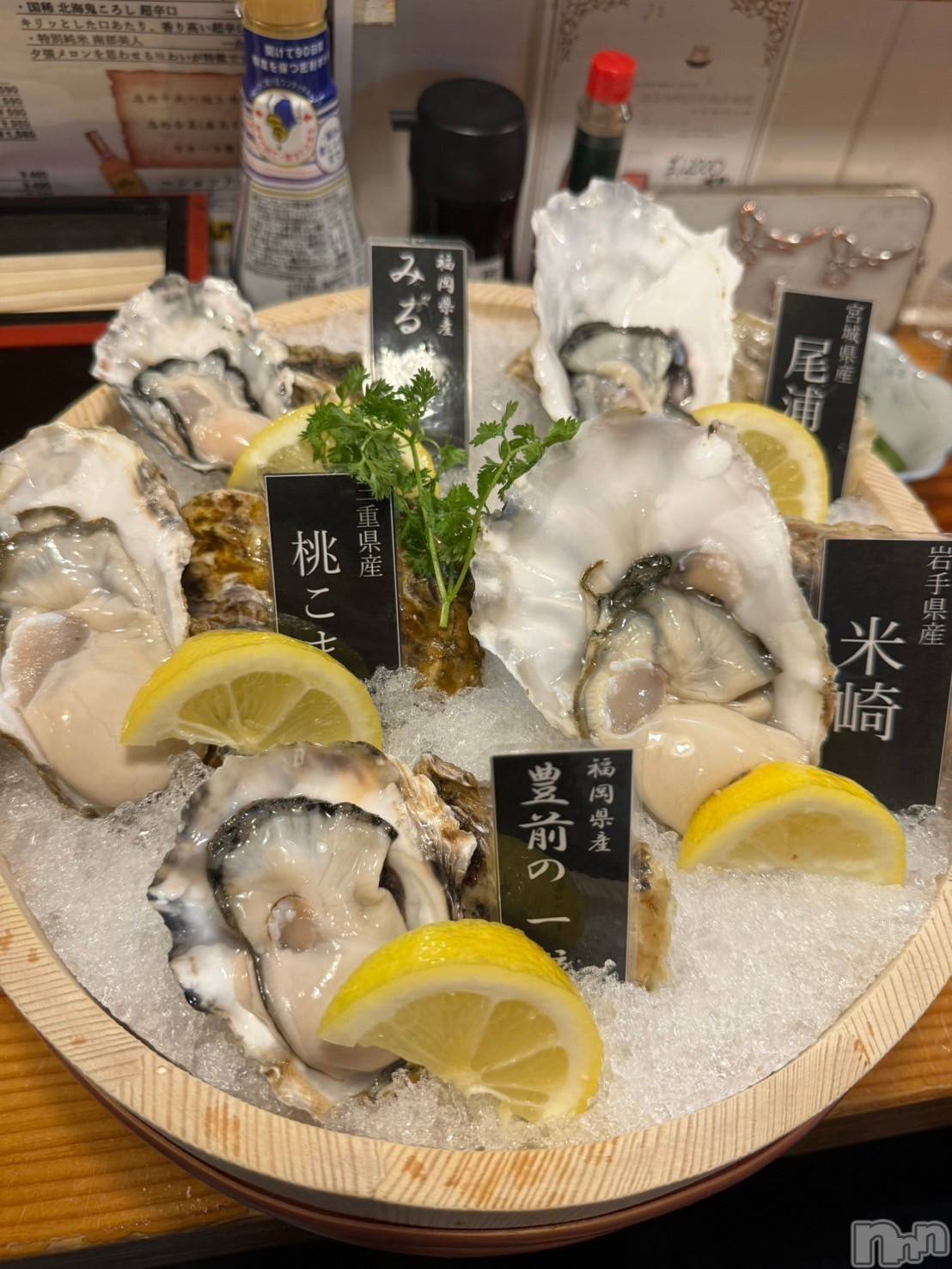 ��ˬ����Х��顦����֥���� �ץ���� ��ˬ(����� �ץ���� ����) ��2024ǯ5��17���̥�֥����ֲ���🦪��