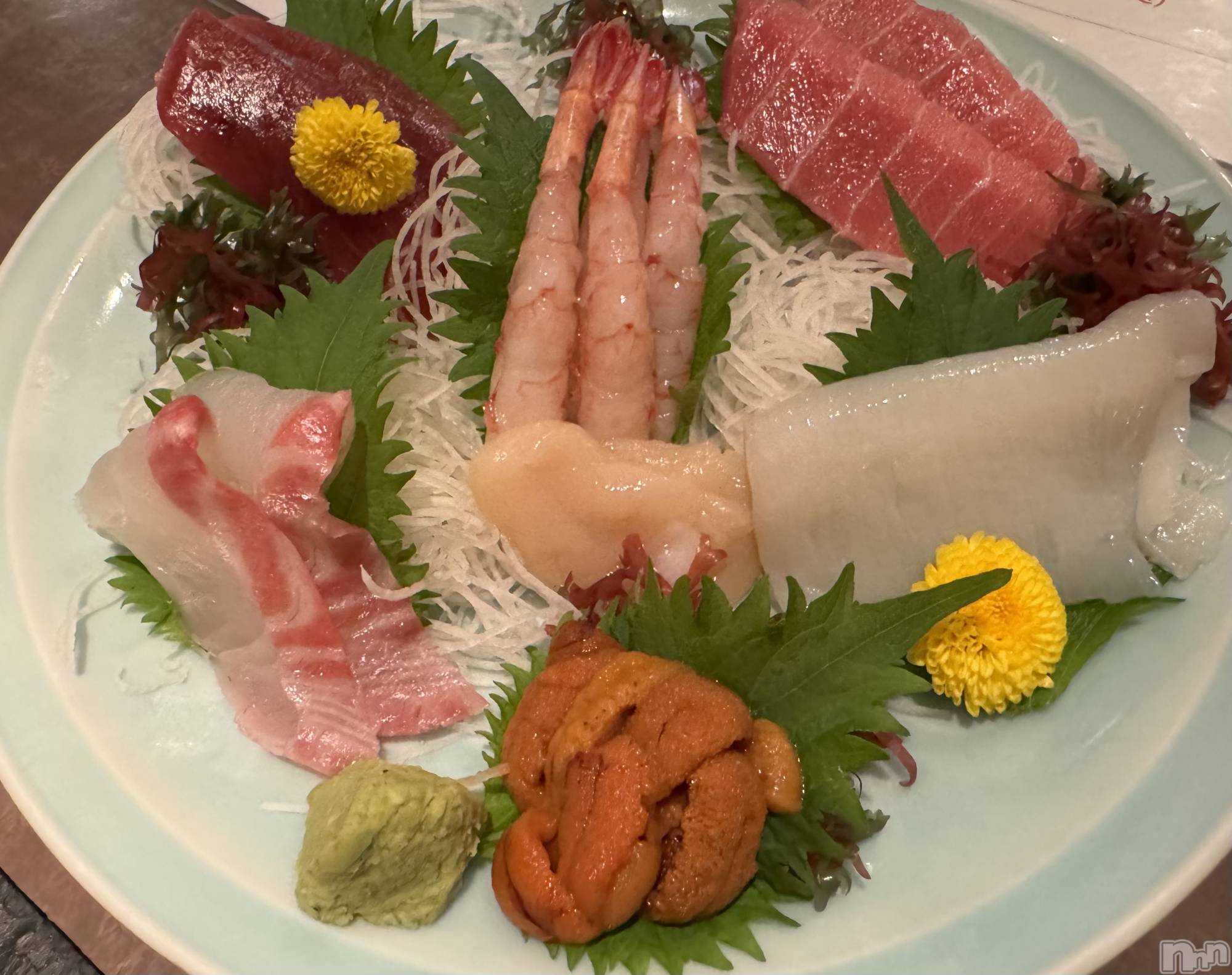 ��ˬ����Х��顦����֥���� �ץ���� ��ˬ(����� �ץ���� ����) ��2024ǯ5��23���̥�֥����֤��ɿȡ�����