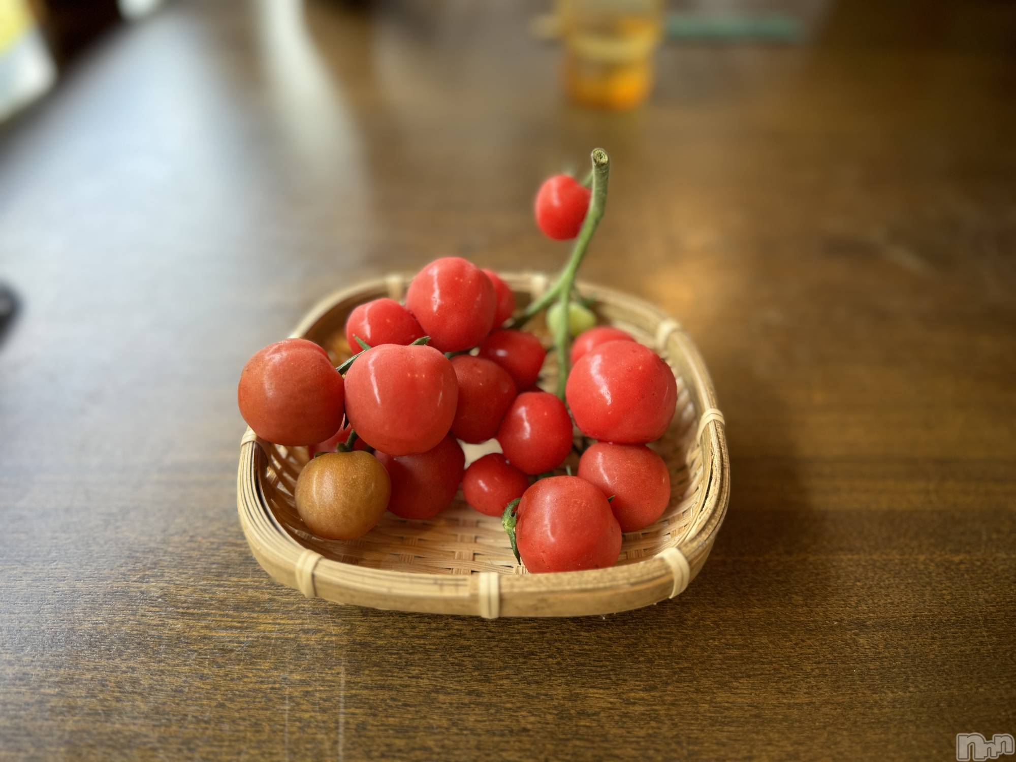 ��ˬ����Х��顦����֥���� �ץ���� ��ˬ(����� �ץ���� ����) ��2024ǯ7��4���̥�֥����֥ȥޥȡ�����