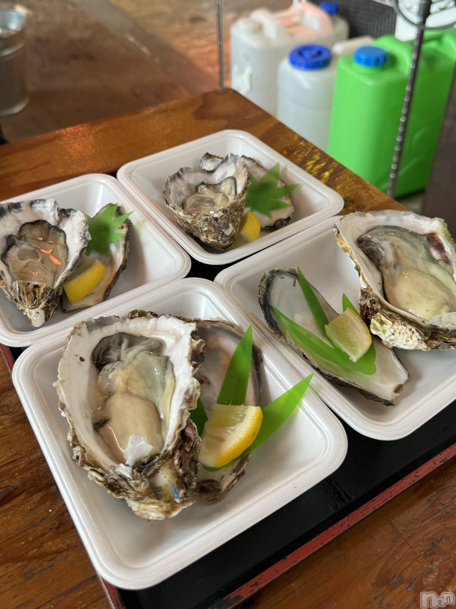 ��ˬ����Х��顦����֥���� �ץ���� ��ˬ(����� �ץ���� ����) ��2024ǯ11��14���̥�֥����ֲ��ڤ����🦪��