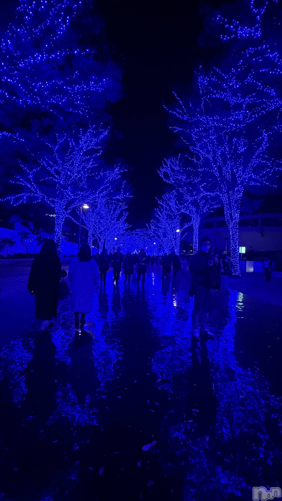 ��ˬ����Х��顦����֥���� �ץ���� ��ˬ(����� �ץ���� ����) ��2024ǯ12��2���̥�֥����֥����✨��