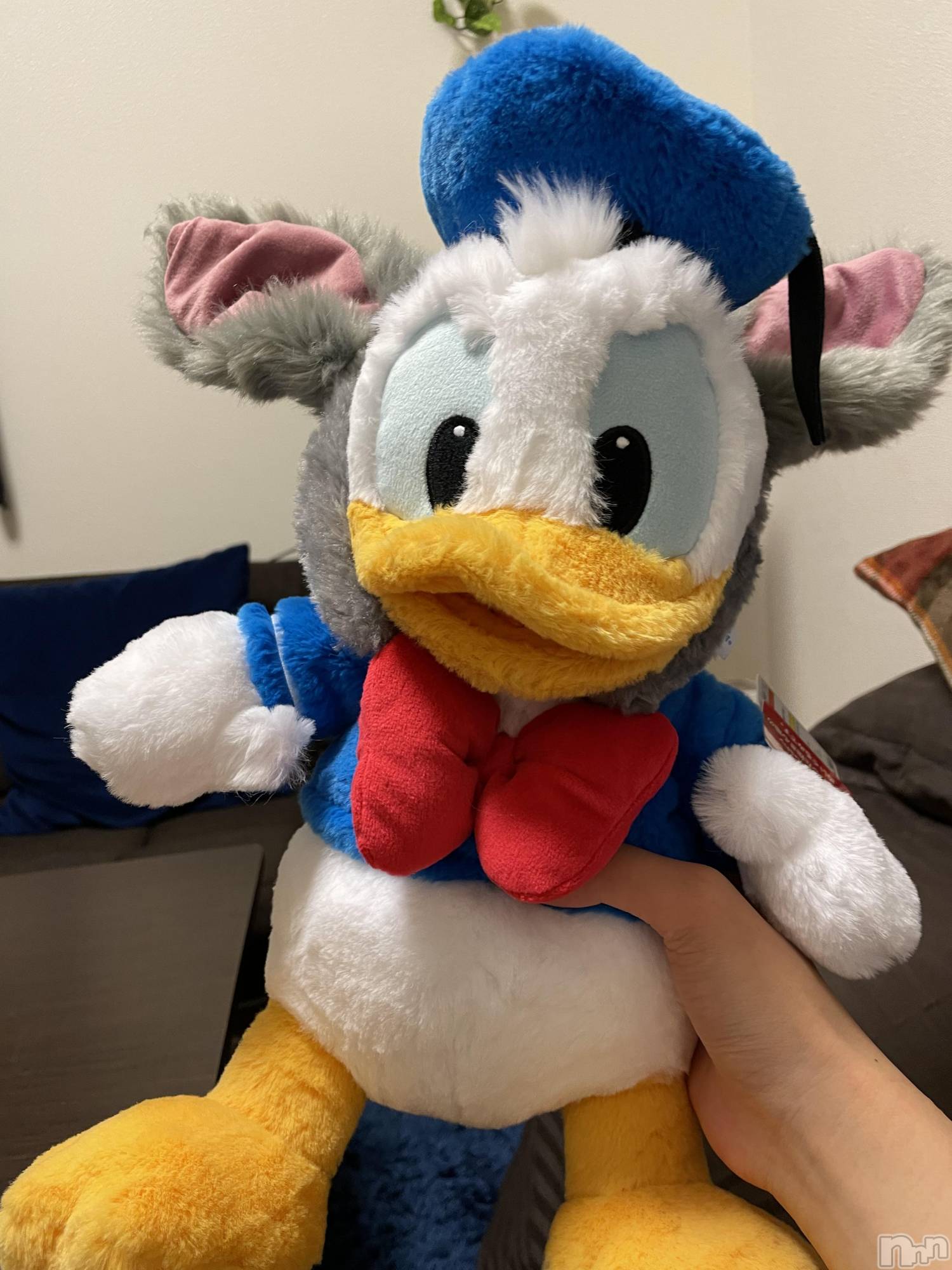 ��ˬ����Х��顦����֥���� �ץ���� ��ˬ(����� �ץ���� ����) ��2025ǯ5��15���̥�֥����֥ɥʤ����𓅿💙��