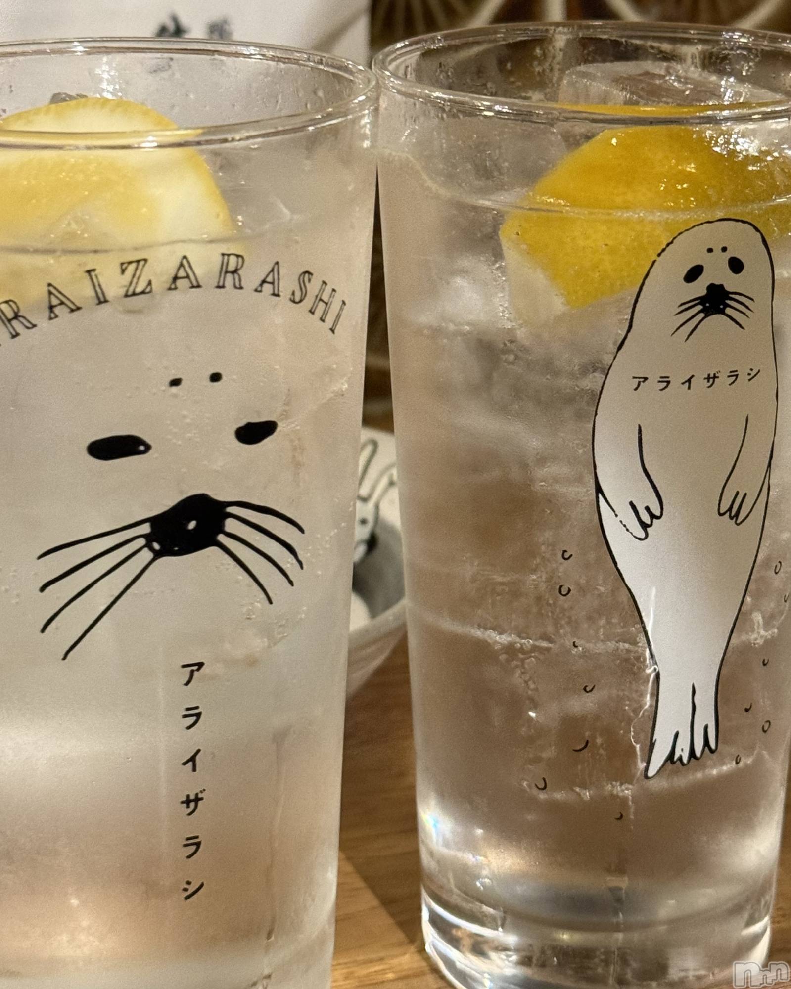 ��ˬ����Х��顦����֥���� �ץ���� ��ˬ(����� �ץ���� ����) ��2025ǯ11��4���̥�֥����֥��饤���饷🦭��