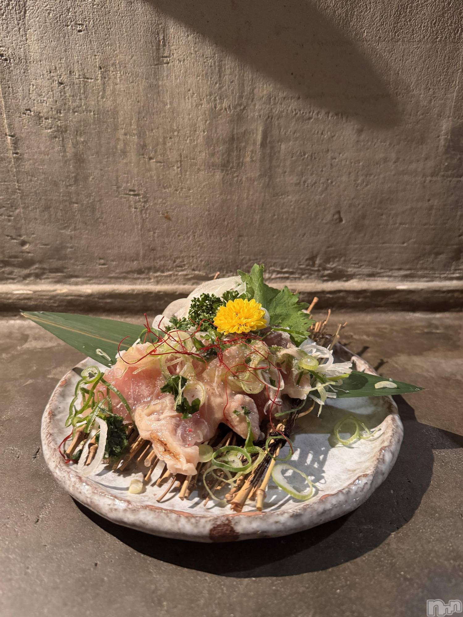 ��ˬ����Х��顦����֥���� �ץ���� ��ˬ(����� �ץ���� ����) ��2026ǯ4��17���̥�֥����֤����ʡ�