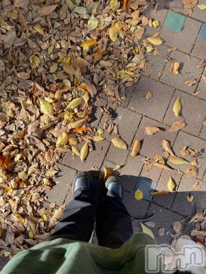 ��ˬ����Х��顦����֥���� �ץ���� ��ˬ(����� �ץ���� ����) ���� �Ҥ�(23)��11��9���̥�֥����ֽ�������