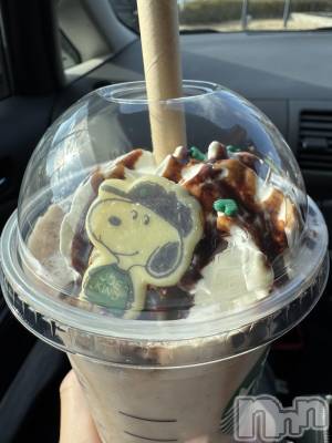 ��ˬ����Х��顦����֥���� �ץ���� ��ˬ(����� �ץ���� ����) ���� �Ҥ�(23)��4��17���̥�֥����֤��ޤ�🐶��