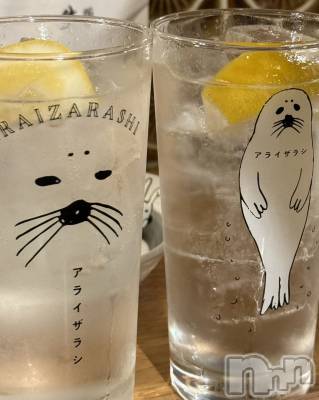 ��ˬ����Х��顦����֥���� �ץ���� ��ˬ(����� �ץ���� ����) ���� �Ҥ�(23)��11��4���̥�֥����֥��饤���饷🦭��