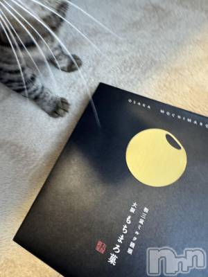 ��ˬ����Х��顦����֥���� �ץ���� ��ˬ(����� �ץ���� ����) ���� �Ҥ�(23)��4��9���̥�֥����֤���ޤ���