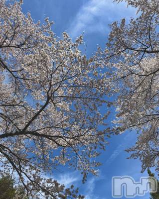 ��ˬ����Х��顦����֥���� �ץ���� ��ˬ(����� �ץ���� ����) ���� �Ҥ�(23)��4��13���̥�֥����֤����餵���