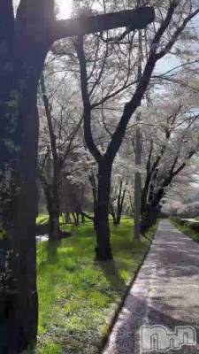 ������ƻ🌸