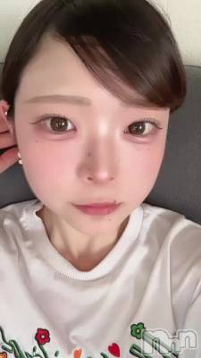 ���פ��֤�Ǥ�🌻