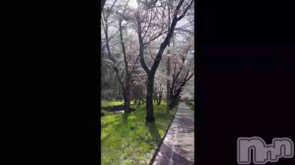 �֤�����ƻ🌸��