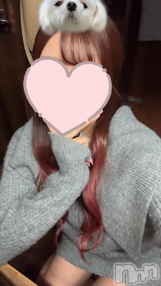 㡦ȯĥꥢ󥺥Levre(졼֥) ˾ ᤰ510̥֥֤ɤɤƤ롢🩵