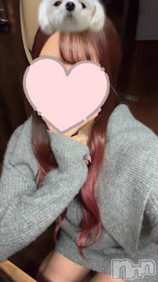 㡦ȯĥꥢ󥺥Levre(졼֥) ˾ ᤰ510̥֥֤ɤɤƤ롢🩵