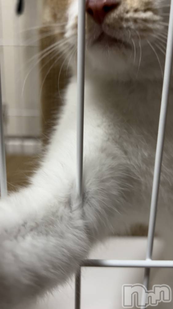 ���ᥭ��Х��顦�����CLUB ASLI(����֥�����) �ˤ���10��4���̥�֥�����💗🫶💗��