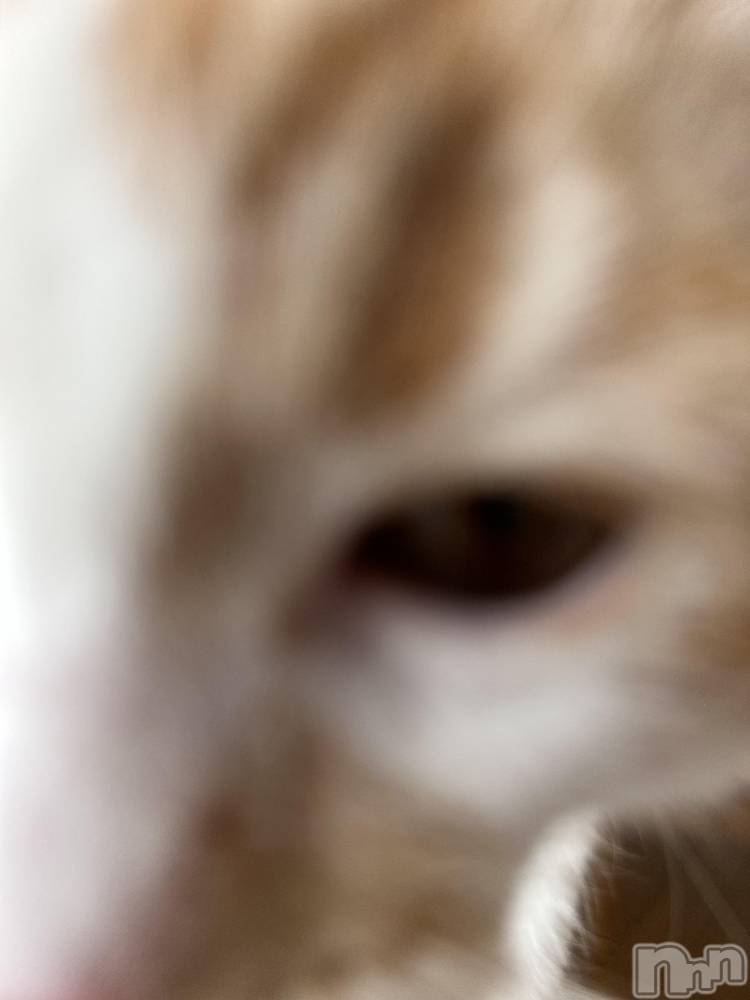 ���ᥭ��Х��顦�����CLUB ASLI(����֥�����) �ˤ���10��12���̥�֥�����💗🫶💗��