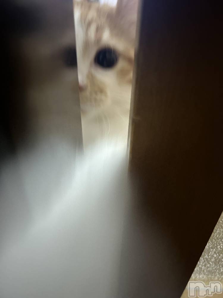 ���ᥭ��Х��顦�����CLUB ASLI(����֥�����) �ˤ���10��17���̥�֥�����💗🫶💗��